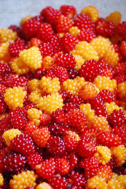 Country Garden: Delectable Berry Selection
