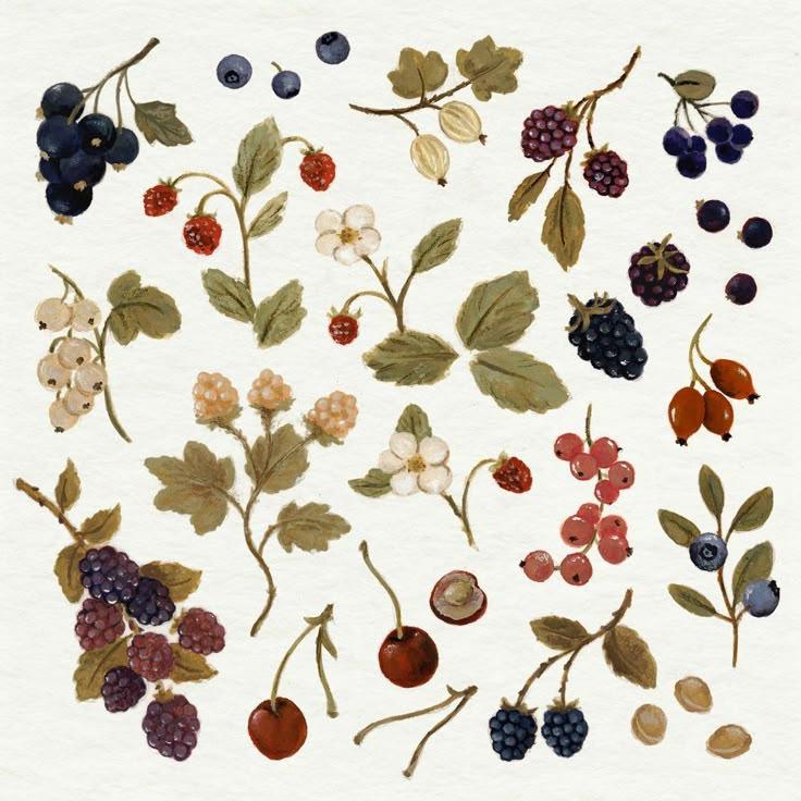 Vibrant Berries: Orchard's Seasonal Mix